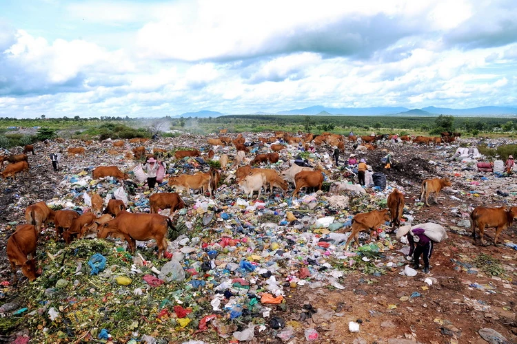 Ảnh dự thi “Vì môi trường xanh” (Phần 7) ảnh 7